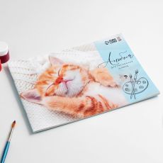 7770868 Альбом для рисования А4 24 листа на скрепке «1 сентября: Котик»