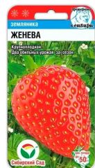 Клубника Женева