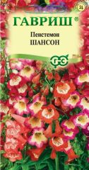 Пенстемон Хартвига Шансон Гавриш