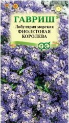 Лобулярия Фиолетовая Королева Гаври