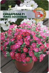 Мини Петуния мелкоцветковая Синдерелла F1 Темно-лососевая