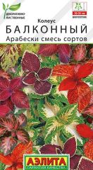 Колеус Арабески Аэлита