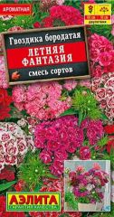 Гвоздика Летняя Фантазия Аэлита