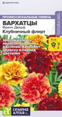 Бархатцы Френч Дварф Клубничный Фл