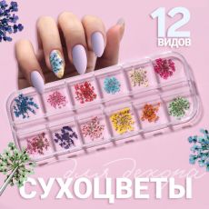 9444933 Сухоцветы для декора, 12 видов, в футляре, цвет разноцветный