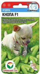 Огурец Кнопа F1 Сиб.Сад