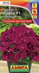 Петуния Мамбо F1 Пурпурная Аэлита