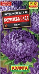 Астра Королева Сада СИНЯЯ