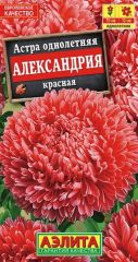 Астра Александрия Красная сферическ