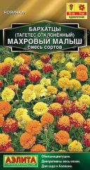Бархатцы Махровый Малыш Аэлита