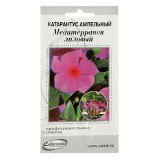 5454077 Семена цветов Катарантус амп.Медитерранен, лиловый, 7 шт