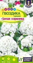 Гвоздика Турецкая Белая Королева