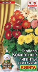 Гербера Комнатные Гиганты Аэлита