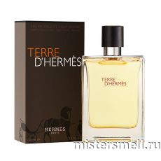 Высокого качества Hermes - Terre d