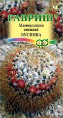 Маммилярия Бусинка кактус комнатн