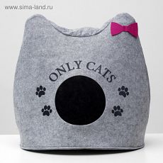 5073943 Домик для животных из войлока "Ушастик ONLY CATS", 46 х 46 х 43 см