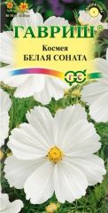 Космея Белая Соната Гавриш