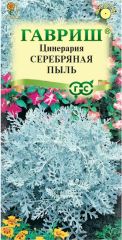 Цинерария Серебрянная Пыль Гавриш
