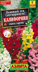 Львиный зев Калифорния Аэлита