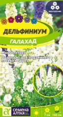 Дельфиниум Галахад Сем.Алтая