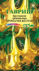 Бругмансия Аромагия Желтая Гавриш
