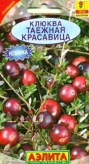 Клюква Таежная Красавица