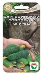 Огурец Баргузинский Соболек F1