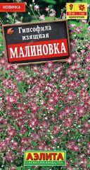 Гипсофила Малиновка Аэлита