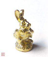 Кролик кошельковый