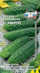 Огурец Квартет F1 СеДек