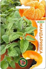 Мелисса Мандаринка