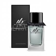 BURBERRY MR. BURBERRY men 5ml edp mini