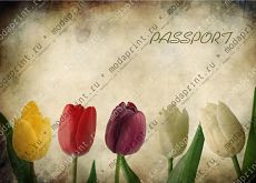 Тюльпаны на паспорт