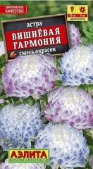 Астра Вишневая Гармония Аэлита