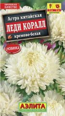 Астра Леди Коралл Кремово-Белая
