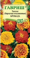 Бархатцы Брокада смесь Гавриш