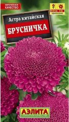 Астра Брусничка китайская