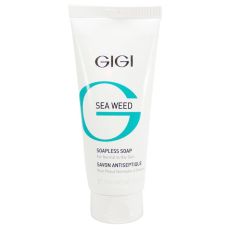 gg31013 Sea Weed Soapless Soap\ Мыло Жидкое Непенящееся, 100мл GIGI