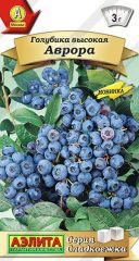 Голубика Аврора Аэлита