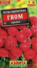 Астра Гном Красная Аэлита