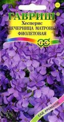 Хесперис Вечерница Матроны фиолетов