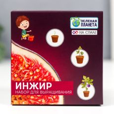 9088352 Набор для выращивания с глиняным горшочком (Инжир)