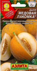 Дыня Медовая Лакомка среднеранняя