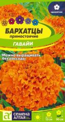 Бархатцы Гавайи Сем.Алтая