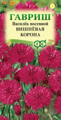 Василек Вишневая Корона Гавриш
