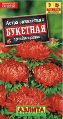 Астра Букетная Лососево-Красная