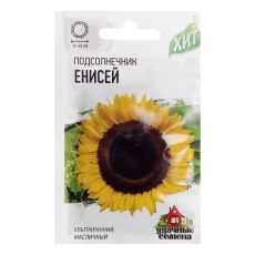 ЦЕНА ЗА 2 ШТ! 7614052 Семена Подсолнечник 