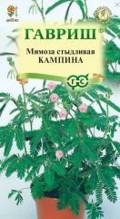 Мимоза стыдливая Кампина комнатная
