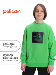 BFN3369 Толстовка для мальчиков Салатовый(38) Pelican