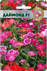 Гвоздика гибридная карликовая F1 Даймонд